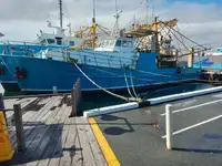 Trawler zu verkaufen