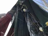 Trawler zu verkaufen