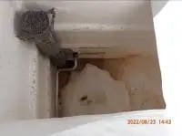 Purse-Seiner zu verkaufen