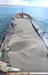 Containerschiff zu verkaufen