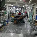 Purse-Seiner zu verkaufen