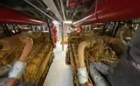 Crew-Boot zu verkaufen
