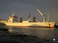 Kühlschiff zu verkaufen