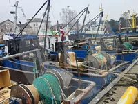 Lebendfischtransporter zu verkaufen