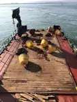 Bagger zu verkaufen