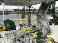 Trawler zu verkaufen