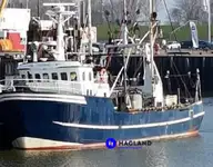 Beam-Trawler zu verkaufen