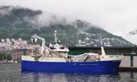 Purse-Seiner zu verkaufen