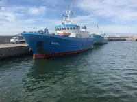 Kühlschiff zu verkaufen