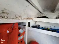Trawler zu verkaufen