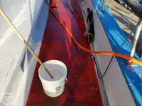 Fährschiff zu verkaufen