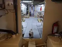 General Cargo/Multi-purpose zu verkaufen