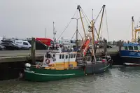 Trawler zu verkaufen