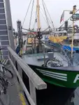 Trawler zu verkaufen