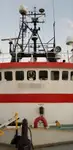 Kühlschiff zu verkaufen