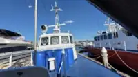 Patrouillenboot zu verkaufen