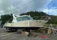 Crew-Boot zu verkaufen