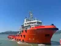Anker-Bergungs- und Versorgungsboot (AHTS) zu verkaufen