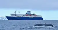 RoPax-Schiff zu verkaufen