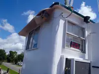 Schleppboot zu verkaufen
