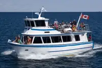 Kreuzfahrtschiff zu verkaufen