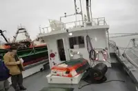 Lotsenboot zu verkaufen