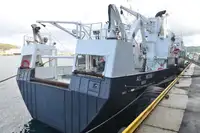 Containerschiff zu verkaufen