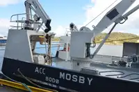 Containerschiff zu verkaufen