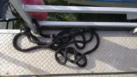 Containerschiff zu verkaufen