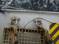 Kühlschiff zu verkaufen