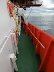 Crew-Boot zu verkaufen