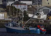 Purse-Seiner zu verkaufen