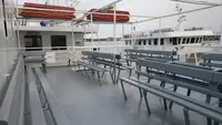 RoPax-Schiff zu verkaufen