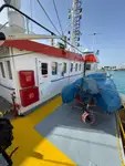 Containerschiff zu verkaufen