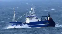Trawler zu verkaufen