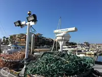Trawler zu verkaufen