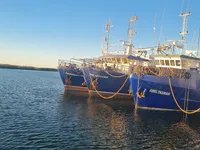 Trawler zu verkaufen