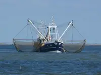 Trawler zu verkaufen