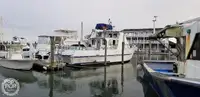 Trawler zu verkaufen