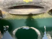 Schleppboot zu verkaufen