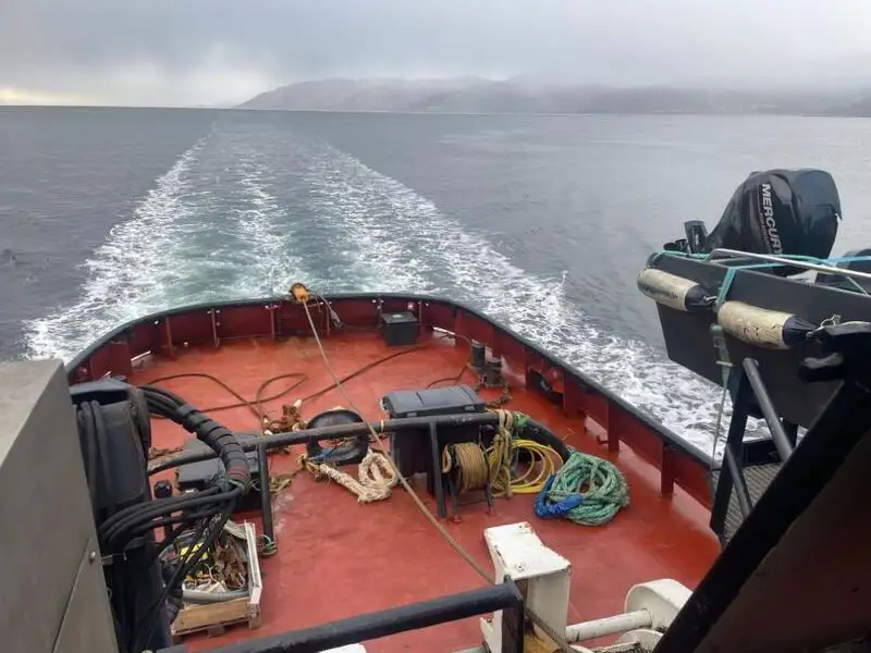 Schleppboot zu verkaufen