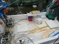 Trawler zu verkaufen
