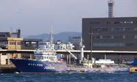 Purse-Seiner zu verkaufen