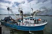 Purse-Seiner zu verkaufen