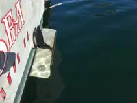 Trawler zu verkaufen