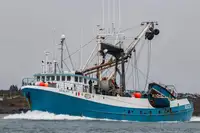 Purse-Seiner zu verkaufen
