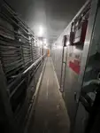 Crew-Boot zu verkaufen