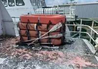 Kreuzfahrtschiff zu verkaufen