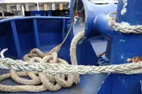 Schleppboot zu verkaufen