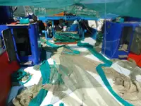 Trawler zu verkaufen